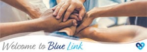 BlueLink-website-image